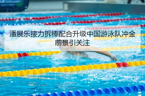 潘展乐接力拆棒配合升级中国游泳队冲金前景引关注