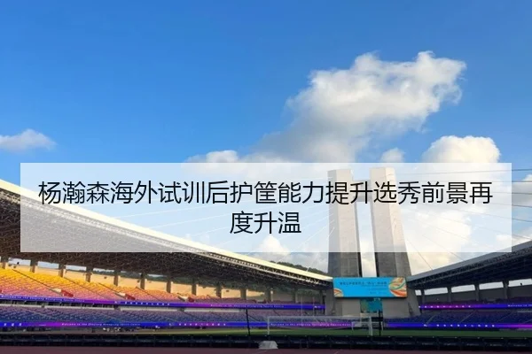 杨瀚森海外试训后护筐能力提升选秀前景再度升温