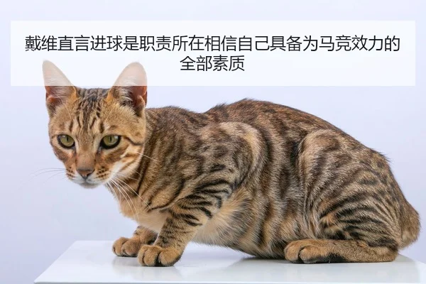 戴维直言进球是职责所在相信自己具备为马竞效力的全部素质